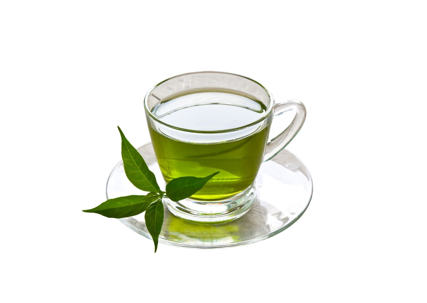 Té Verde