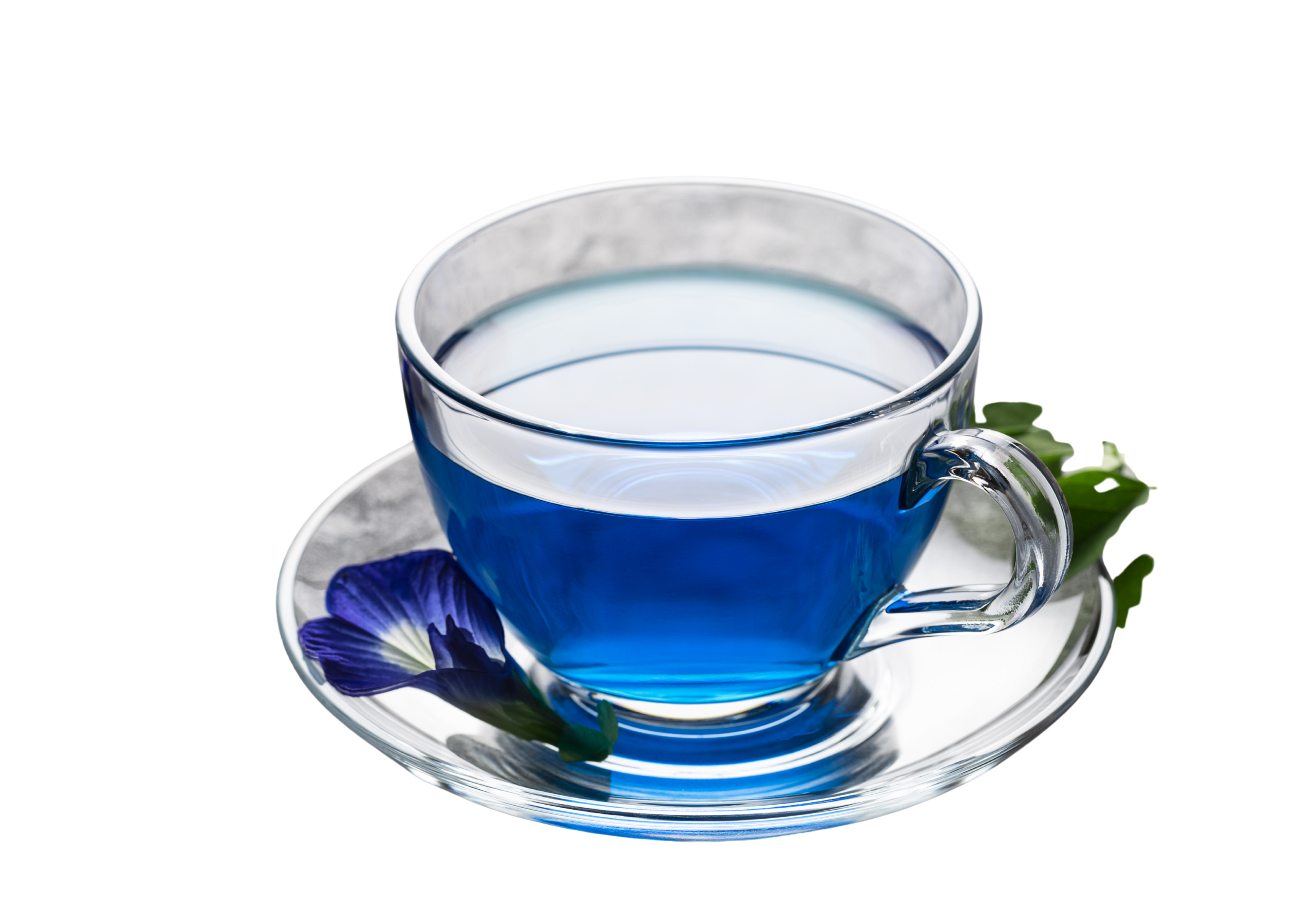 Té Azul